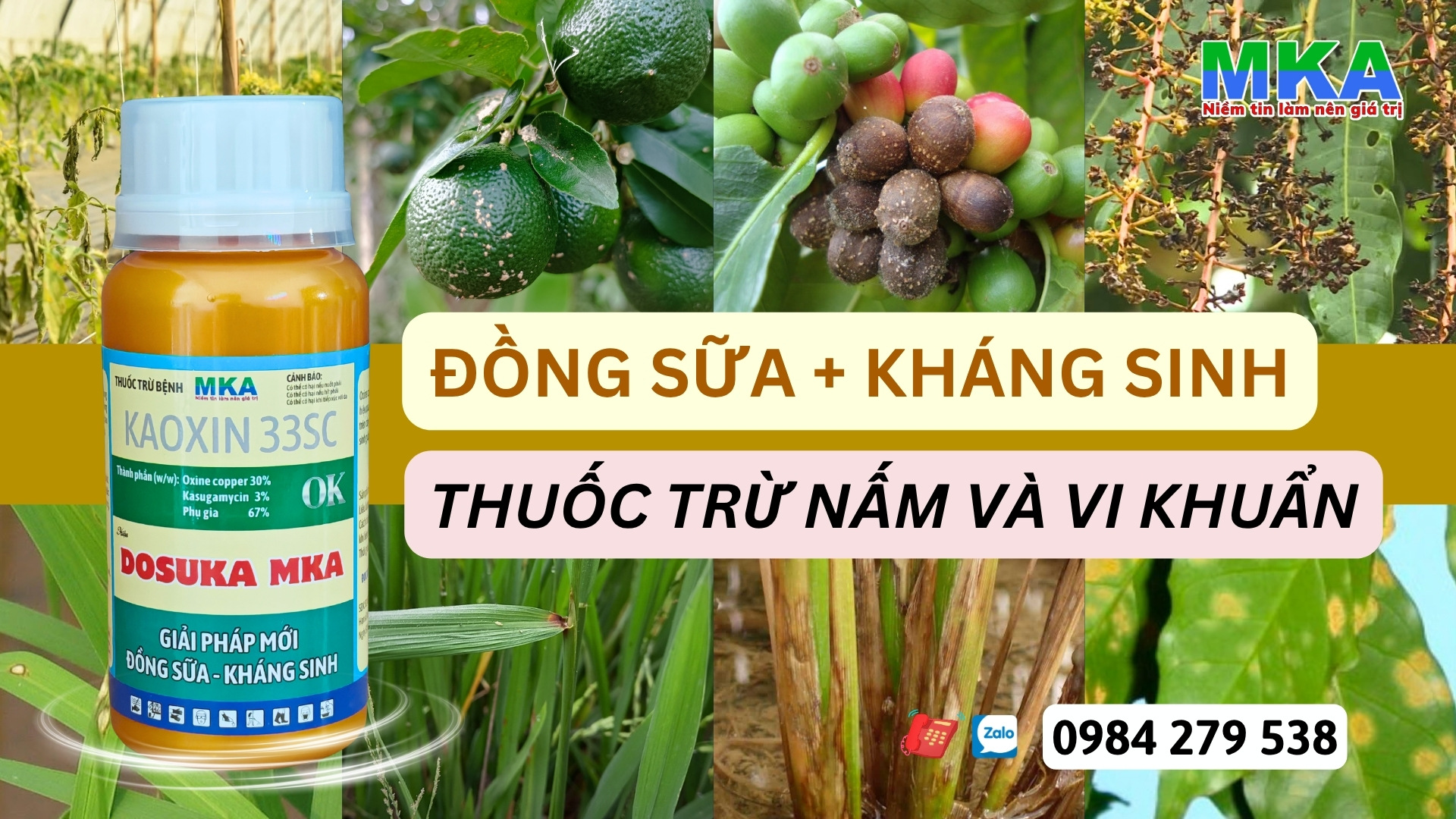 Dosuka MKA 33SC thuốc trừ nấm và vi khuẩn đồng sữa kháng sinh